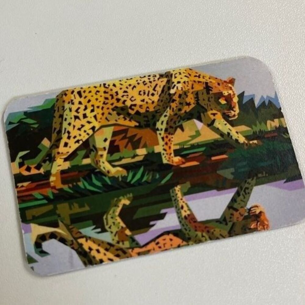 Nib Elizabeth Sutton Collection Cheetah Clutch Ac… - image 4